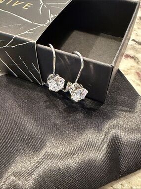 GENEVIVE Sterling Silver CZ Drop Earrings